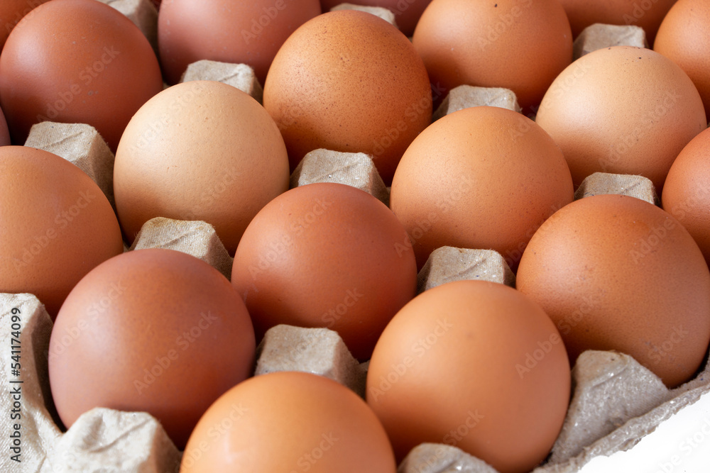 Many chicken eggs in the paper tray isolated on white background. Many chicken eggs in the paper tray isolated on white background.