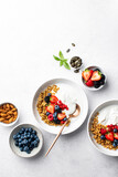 Oatmeal or granola with greek yogurt and fresh berries, view from above