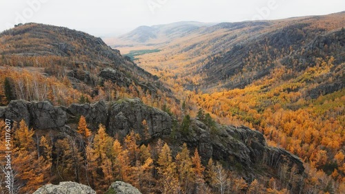 Yellow autumn forest in the mountains. 
 photo