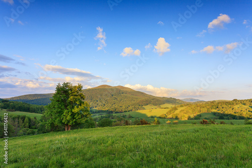 Fototapeta Naklejka Na Ścianę i Meble -  spring sunny day in mountains, bieszczady national park