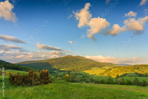 Fototapeta Naklejka Na Ścianę i Meble -  spring sunny day in mountains, bieszczady national park