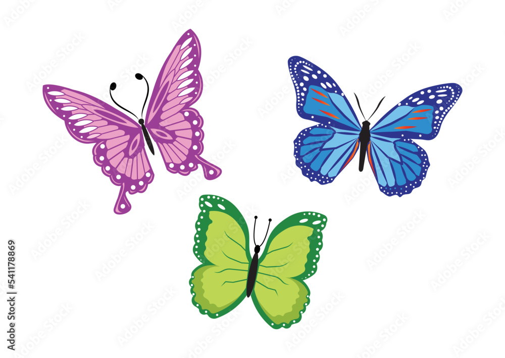 Set of three colorful butterfly Set of three colorful butterfly