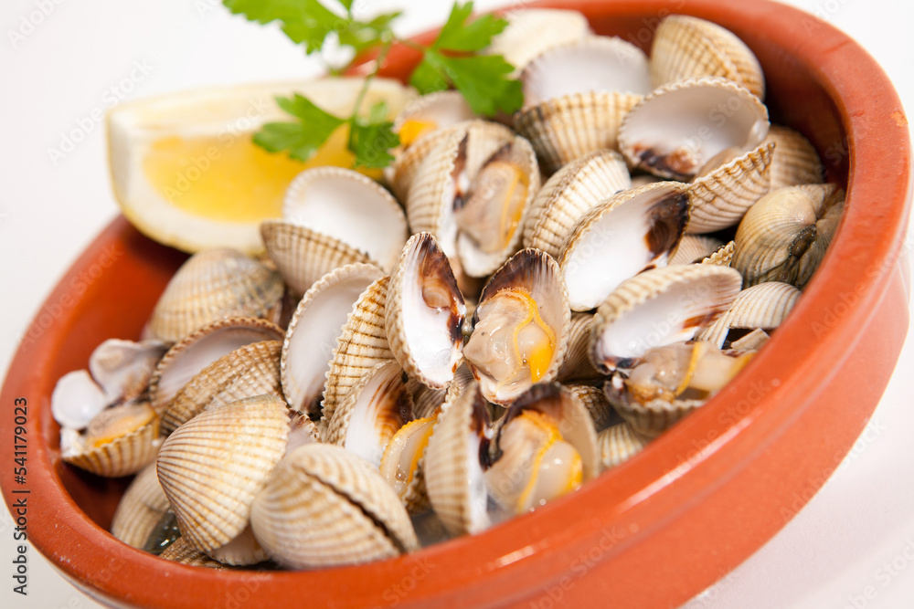 fresh seafood on clay plate, white background fresh seafood on clay plate, white background