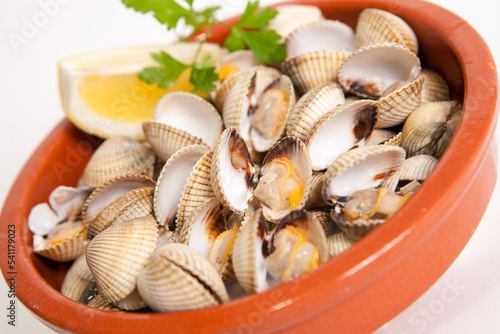 fresh seafood on clay plate, white background