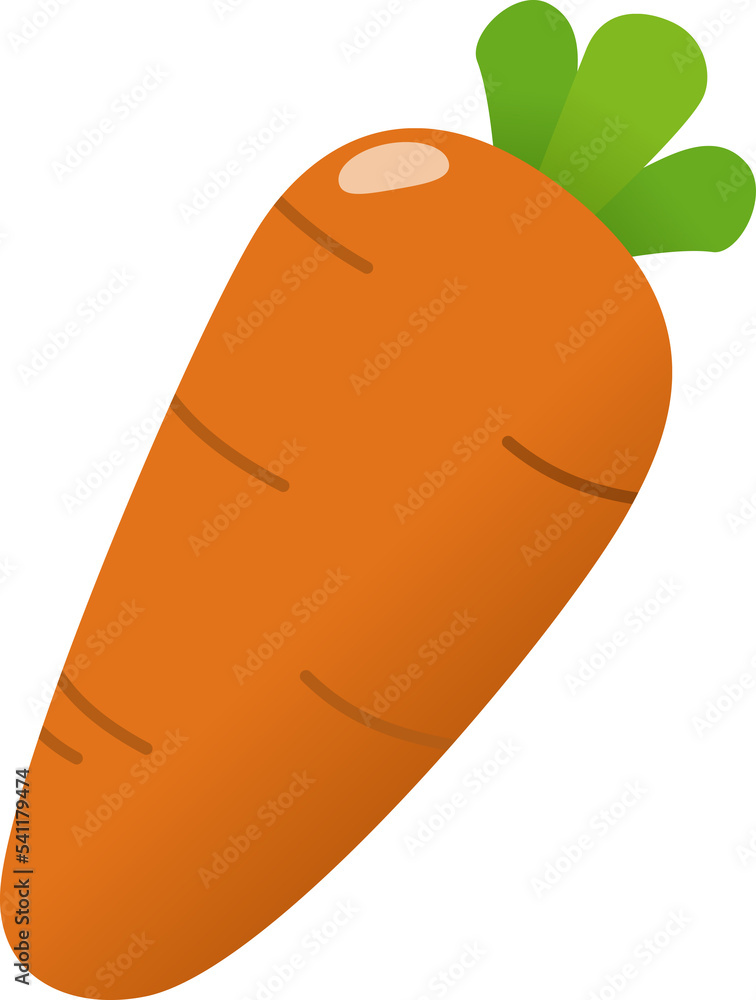 Carrot illustration Carrot illustration