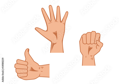 Three different hand positions. Closed hand, open hand and like