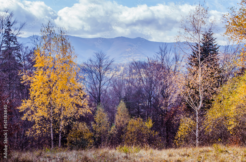 Carpathian mountains in the autumn landscape scene.