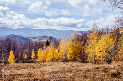 Carpathian mountains in the autumn landscape scene.