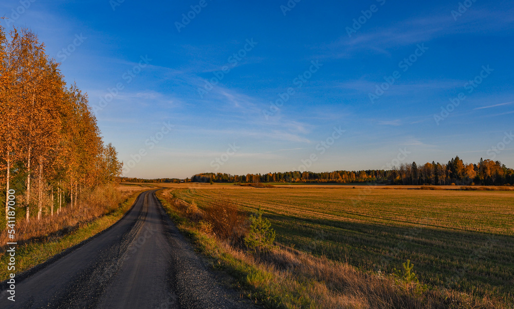 Autumn landscape with narrow gravel road in the countryside