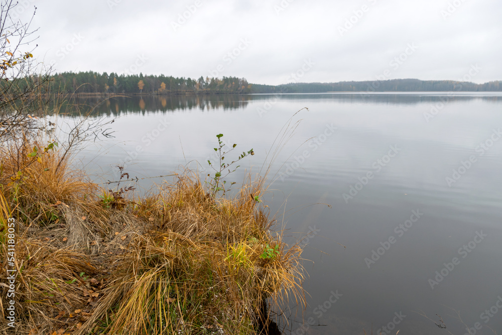 foggy landscape, rainy, gray autumn landscape from the lake, gray sky, calm water, Augstroze lake, Latvia