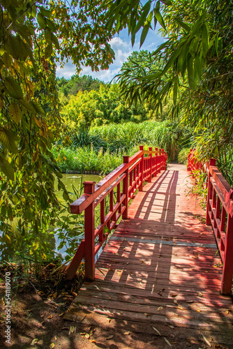 Petit pont de bois de style japonais enjambant l'étang	