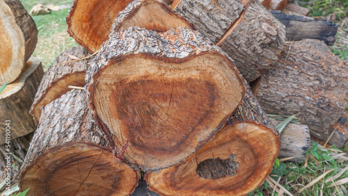 Red dried logs to fuel fires to keep warm in winter
