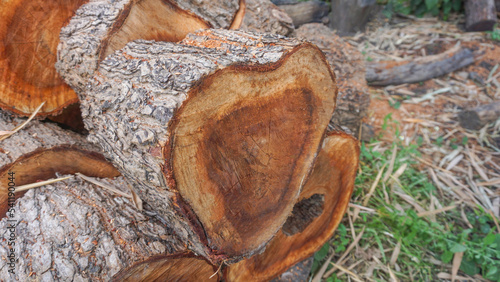 Red dried logs to fuel fires to keep warm in winter