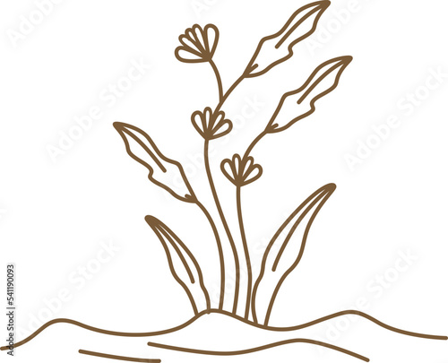 Botanical Line Art Floral