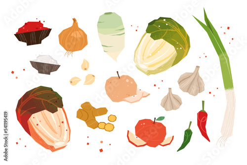 Cabbage kimchi and various kimchi ingredients. Korean traditional food concept vector element illustration collection.