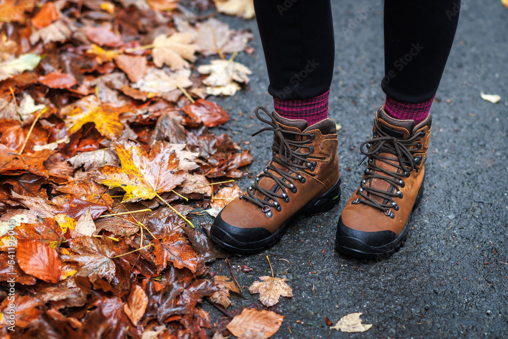 Hiking boot on road with autumn leaves. Waterproof leather ankle boots