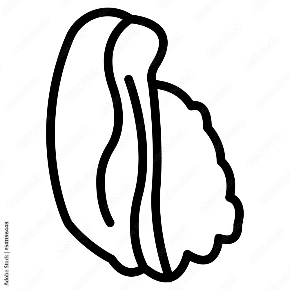 conch icon conch icon