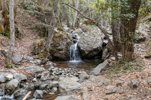 Mountain stream river with riffles in forest