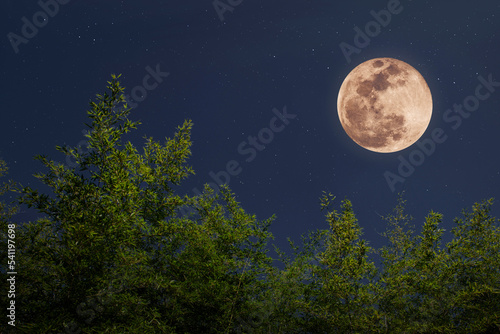 밤하늘의 보름달