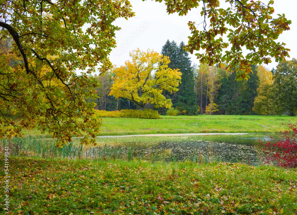 Autumn day in the park. Gold autumn. Trees and lake. Autumn day in the park. Gold autumn. Trees and lake.