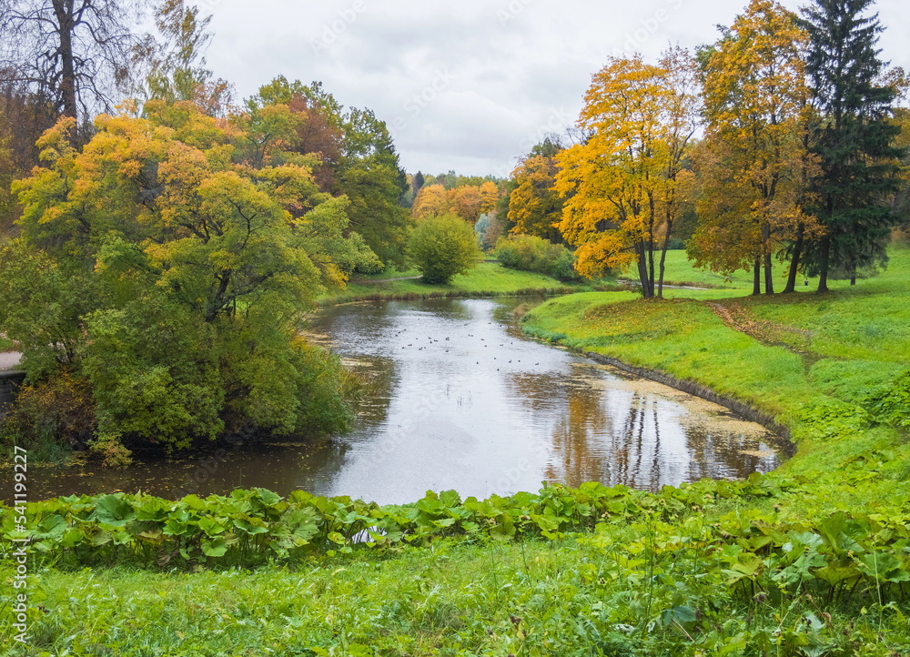Autumn day in the park. Gold autumn. Trees and lake. Autumn day in the park. Gold autumn. Trees and lake.
