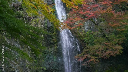 Minoo waterfall with red maple leaf in Autumn season, Osaka, Japan photo