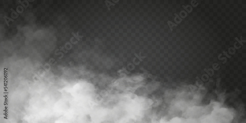 Fog or smoke isolated transparent special effect. White vector cloudiness, mist or smog background. Vector illustration