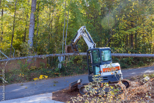 After hurricane  uprooted trees fell into street  damaging fences  and requiring tractor cleanup.