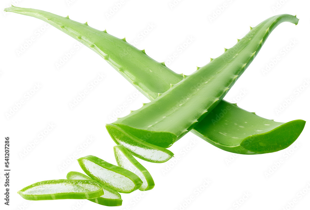 Aloe Vera isolated Aloe Vera isolated