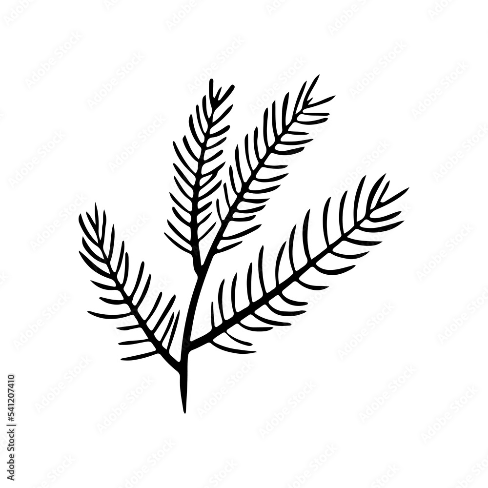 Naklejka premium Coniferous tree branch vector icon. Hand drawn illustration in doodle style. Christmas branch. Sprig of pine, fir, spruce. Botanical clipart for decoration, card design, invitation, web