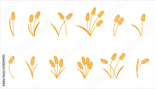 Wheat ears. Barley or rice yellow silhouette, beer or bakery logo isolated elements, organic farm elements for label and emblem, bread packaging, decorative objects, ripe spikelets, vector set