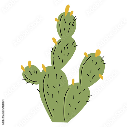 Opuntia. Prickly pear, wild cactus