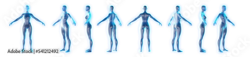 360 degree rotating female 3d body model on x-ray

