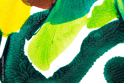 green yellow and brown abstract acrylic painting color texture on white paper background by using rorschach inkblot method