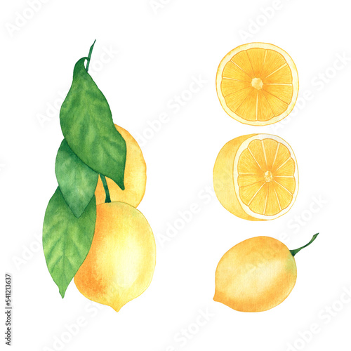 Watercolor set of lemons. Whole fruit with leaves and lemon slices. Isolated objects on a white background. Ready-made objects for printing on fabric, paper.