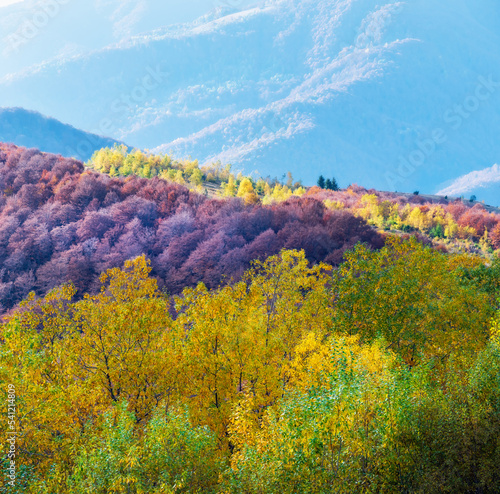 Beautiful autumn view in the mountains with colorful trees. Artistic style