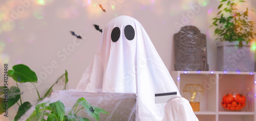 Ghost of Halloween uses laptop surf the Internet, browse online stores, markets. A ghost makes an order from computer for Halloween. Ghost pays for online purchase by credit, bank card.