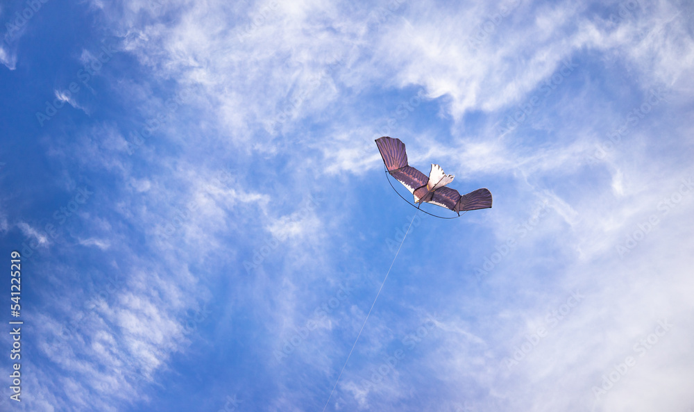A kite on a string flies across the blue sky in the clouds. Launch a bird into the sky. A bird on a string in the sky. Spend time outdoors with children. A kite on a string flies across the blue sky in the clouds. Launch a bird into the sky. A bird on a string in the sky. Spend time outdoors with children.