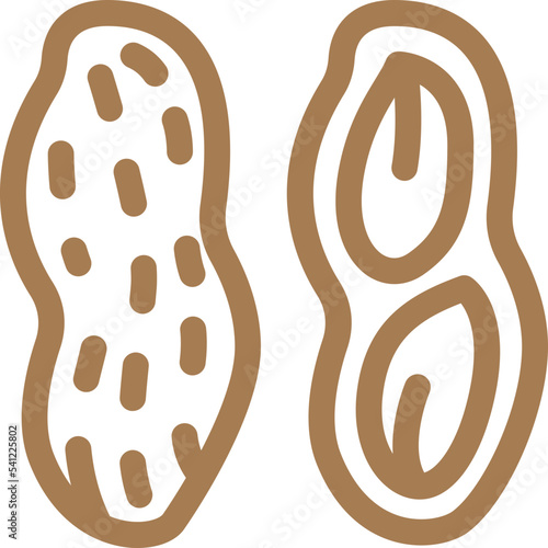 peanut line icon