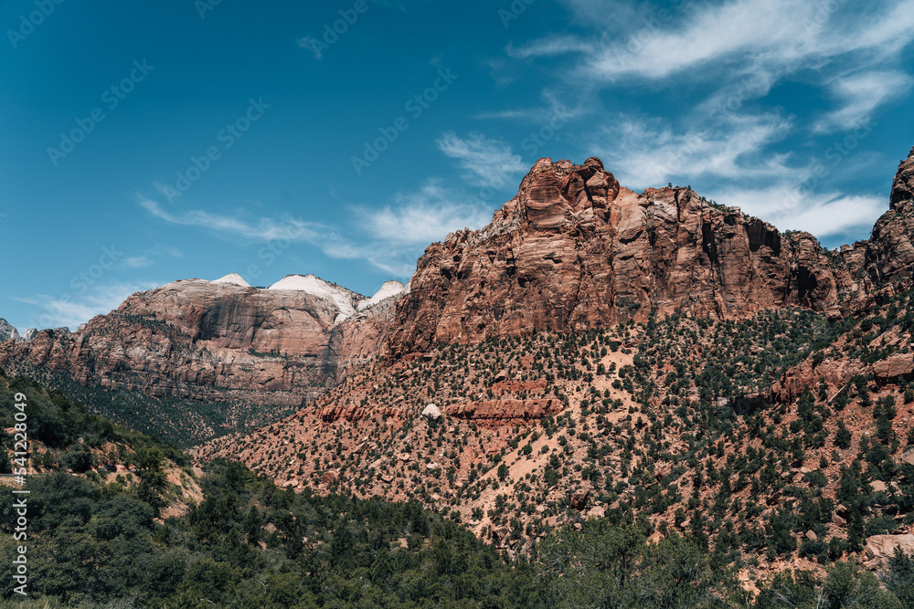 Obraz premium Dessert Landscape in the mountains of Zion National Park USA