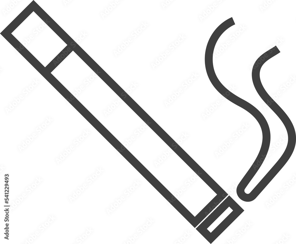 Fototapeta premium No smoking sign