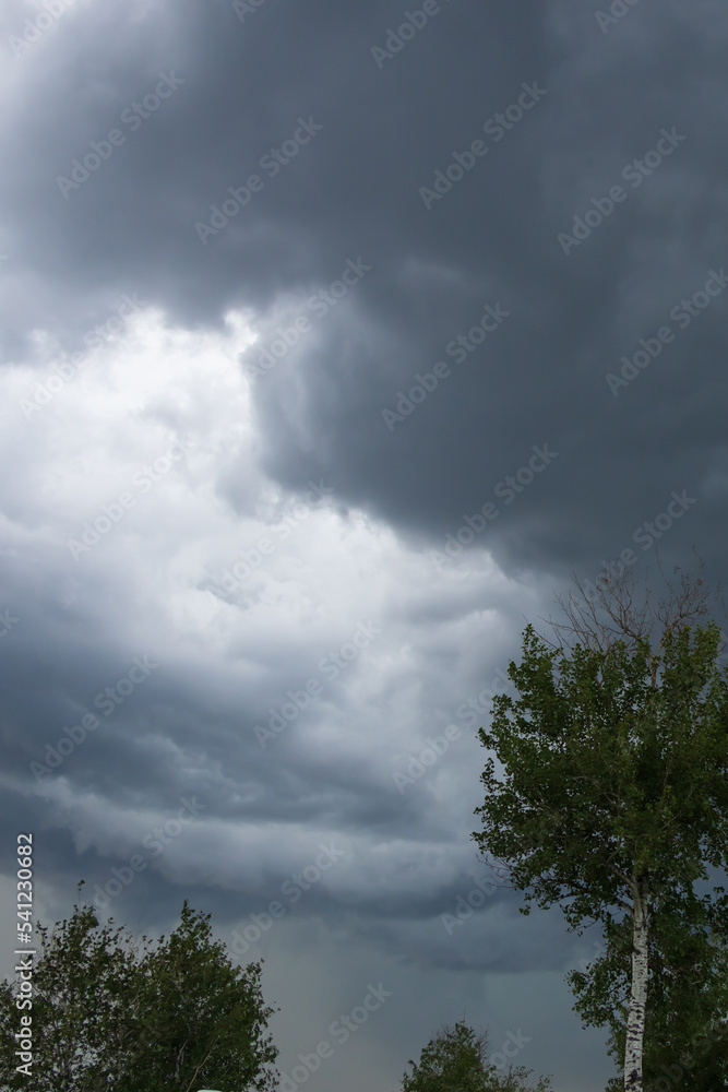 Dark storm clouds in the sky and silhouette of trees Dark storm clouds in the sky and silhouette of trees