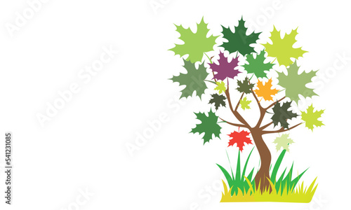 tree with colorful maple leaves on white background space for text