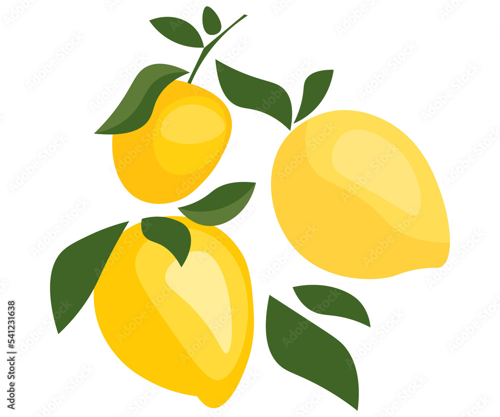 Obraz premium branch with lemons