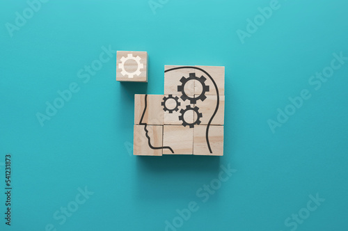 Human puzzle solution concept
