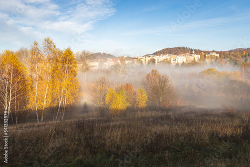 Fototapeta Naklejka Na Ścianę i Meble -  Jesień