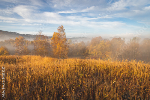 Fototapeta Naklejka Na Ścianę i Meble -  Jesień