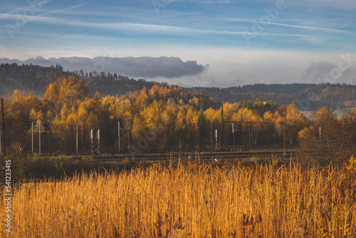 Fototapeta Naklejka Na Ścianę i Meble -  Tory