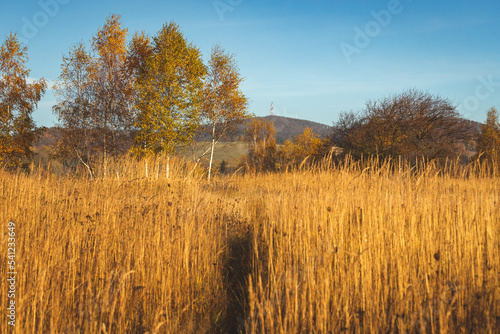 Fototapeta Naklejka Na Ścianę i Meble -  Sudety