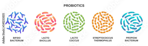 Probiotics. Lactic acid bacterium. Bifidobacterium, lactobacillus, lactococcus, streptococcus thermophilus, propionibacterium. Vector illustration